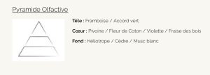 Bougie végétale Fleur de Coton