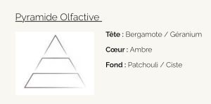 Bougie végétale Ambre Intense