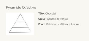 Patchouli Visuel Pyramide