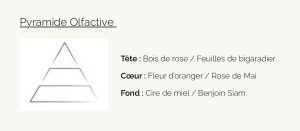 Mon Bel Oranger Visuel Pyramide