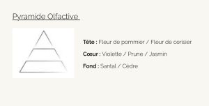 Fleur de Cerisier Visuel Pyramide