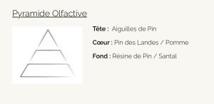 Pin de Provence Visuel Pyramide