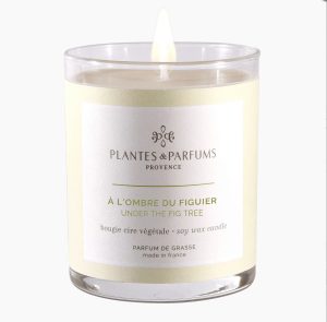 Bougie végétale A l'Ombre du Figuier