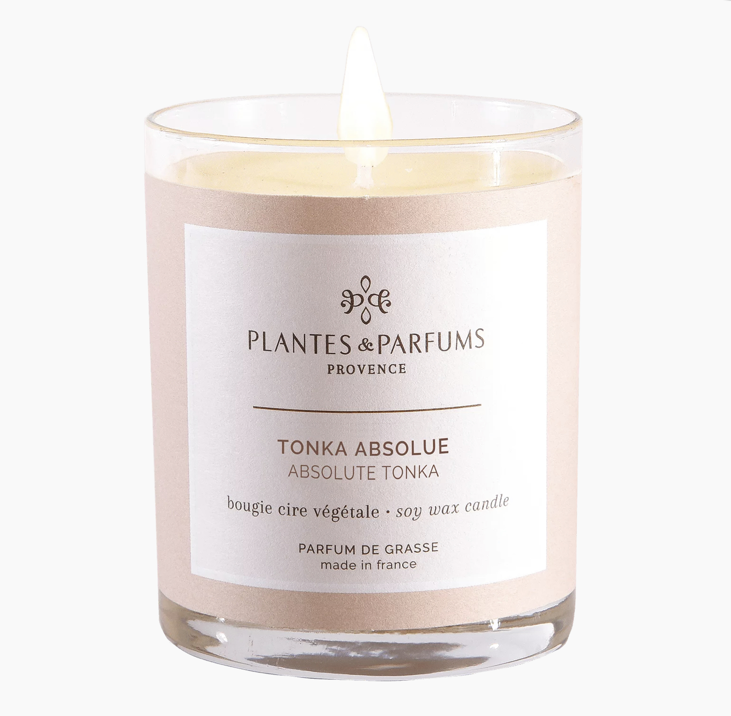 Bougie végétale Tonka Absolue