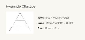 Pétale de Rose Visuel Pyramide