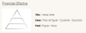Bougie végétale A l'Ombre du Figuier